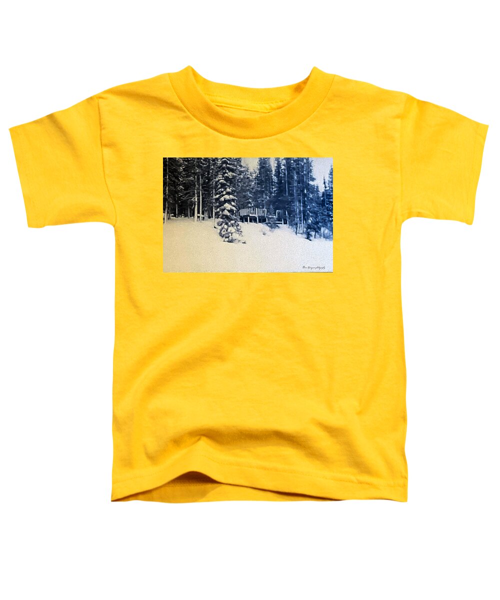 Winter  - Toddler T-Shirt