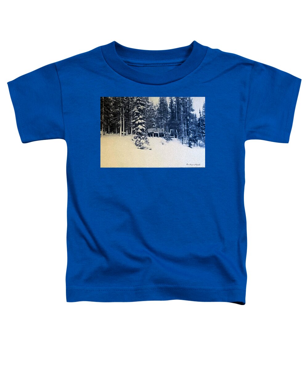 Winter  - Toddler T-Shirt