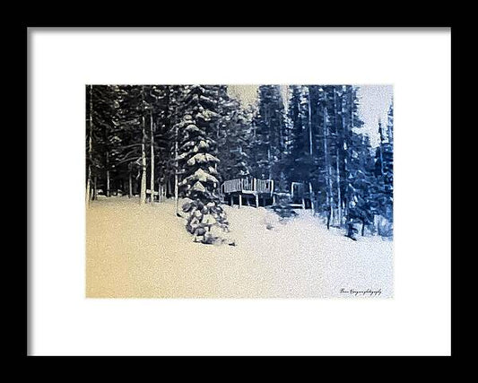 Winter  - Framed Print