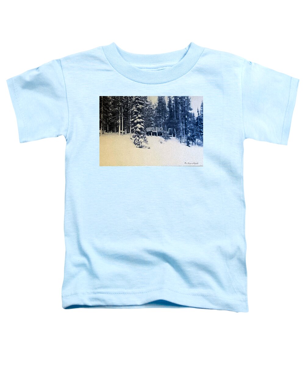 Winter  - Toddler T-Shirt