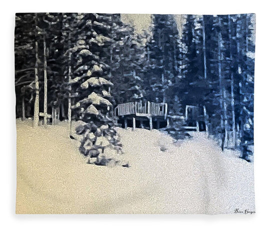 Winter  - Blanket