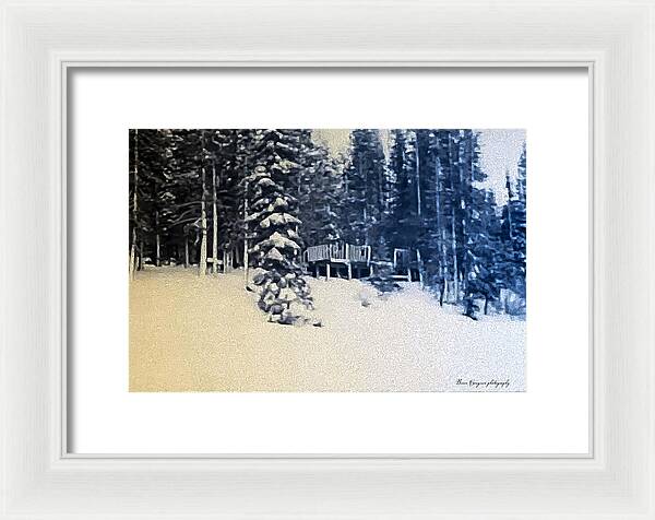 Winter  - Framed Print