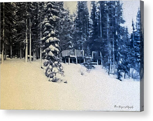 Winter  - Acrylic Print
