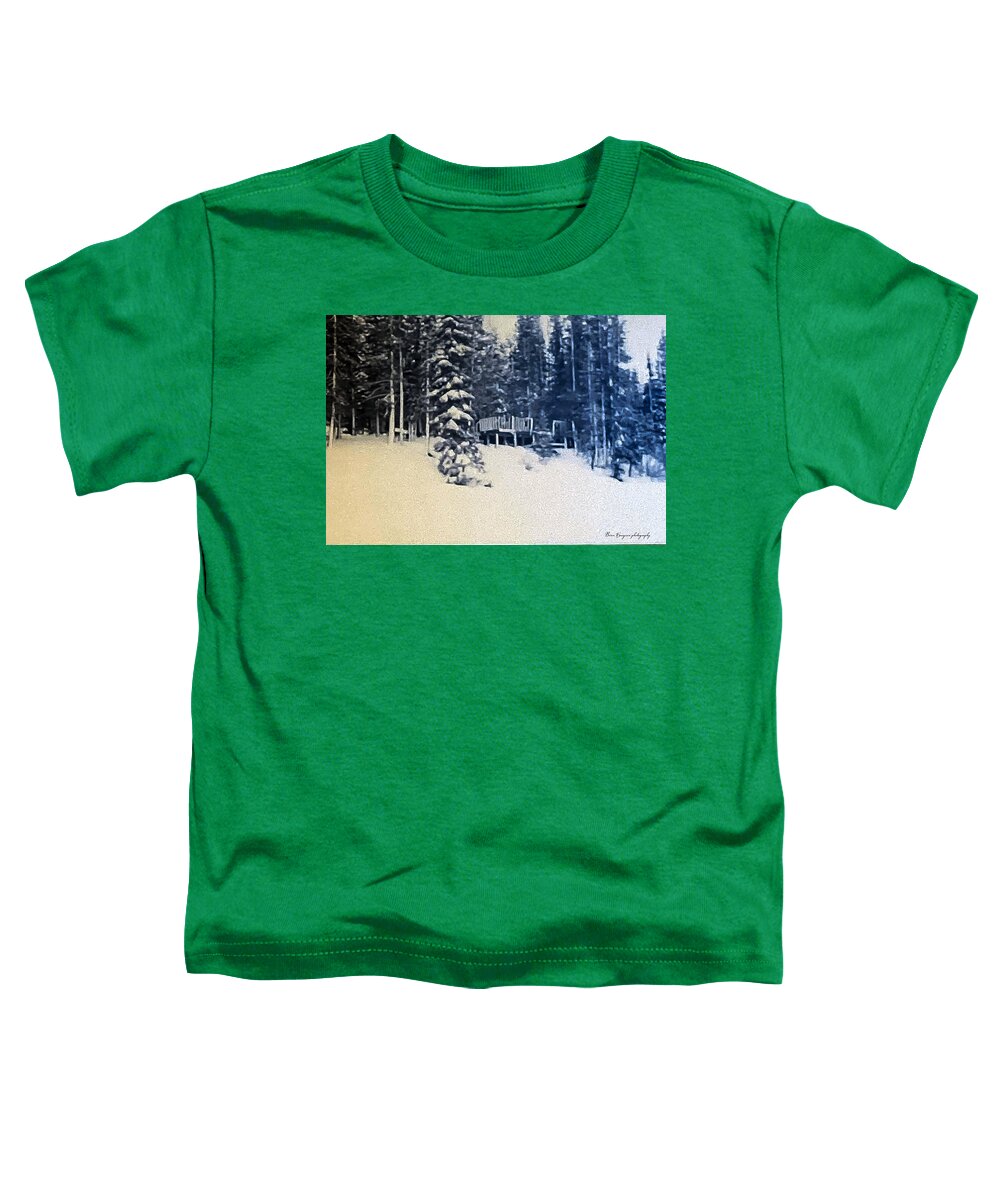 Winter  - Toddler T-Shirt