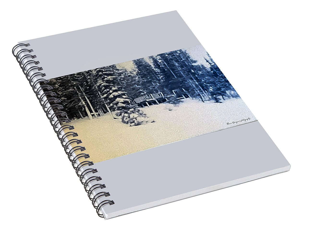 Winter  - Spiral Notebook
