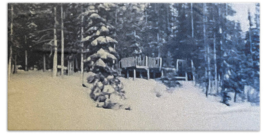 Winter  - Bath Towel