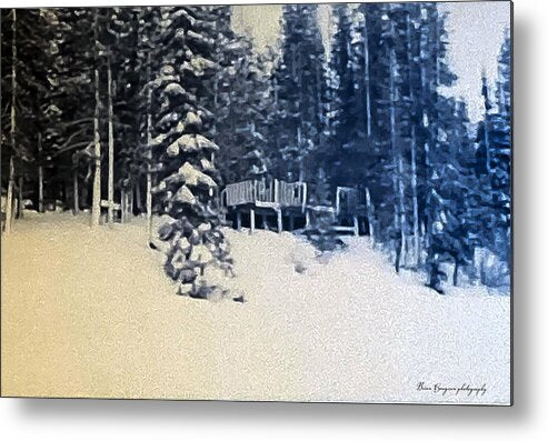 Winter  - Metal Print