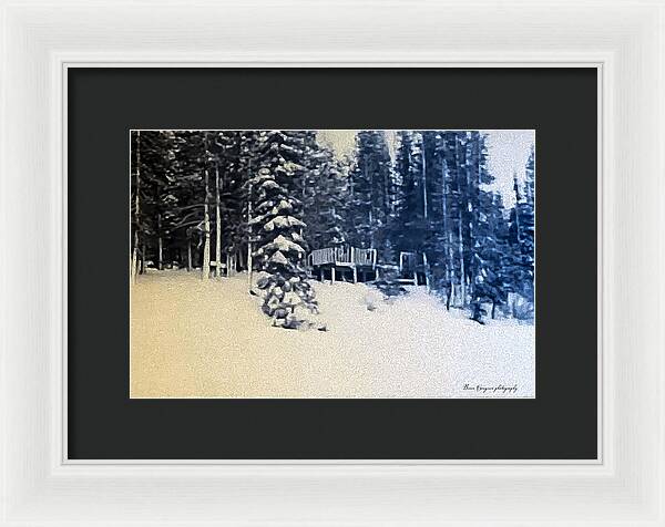 Winter  - Framed Print