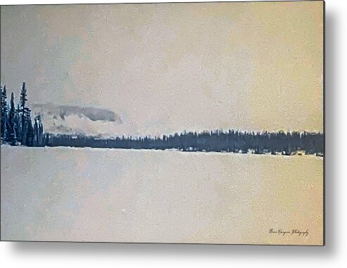 Winter lake  - Metal Print