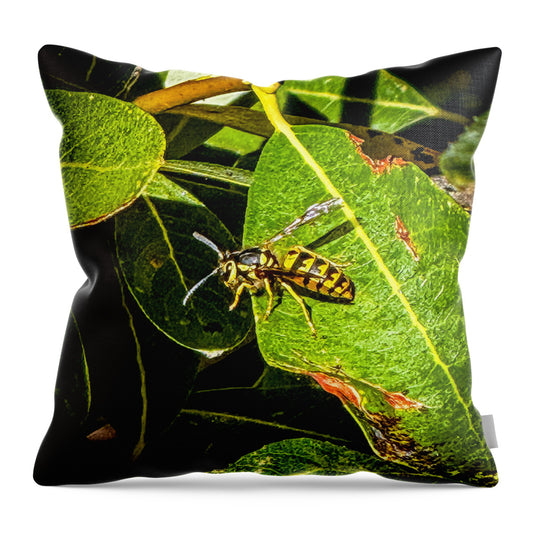 Yellow jacket  - Throw Pillow