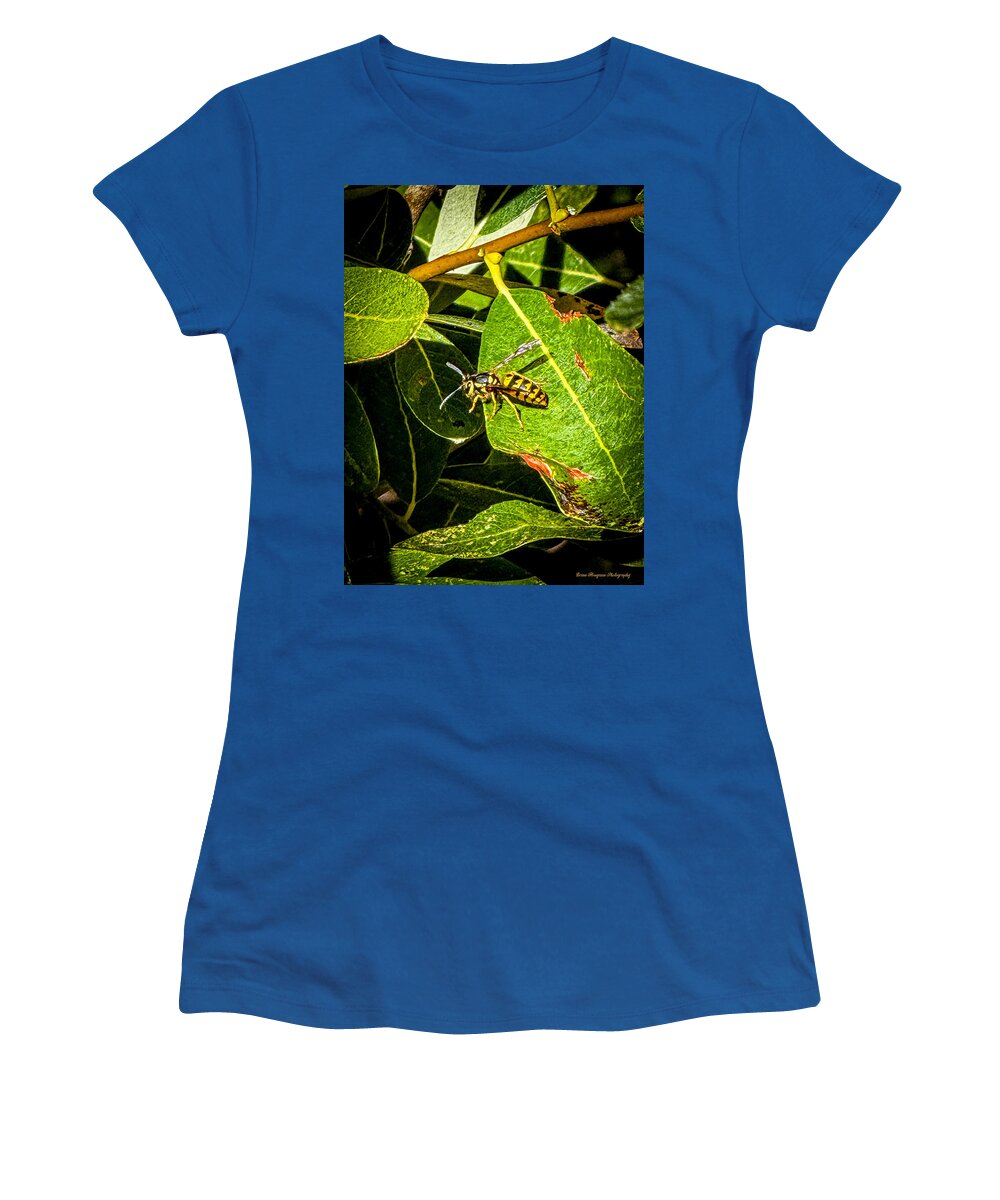 Yellow jacket  - Women's T-Shirt
