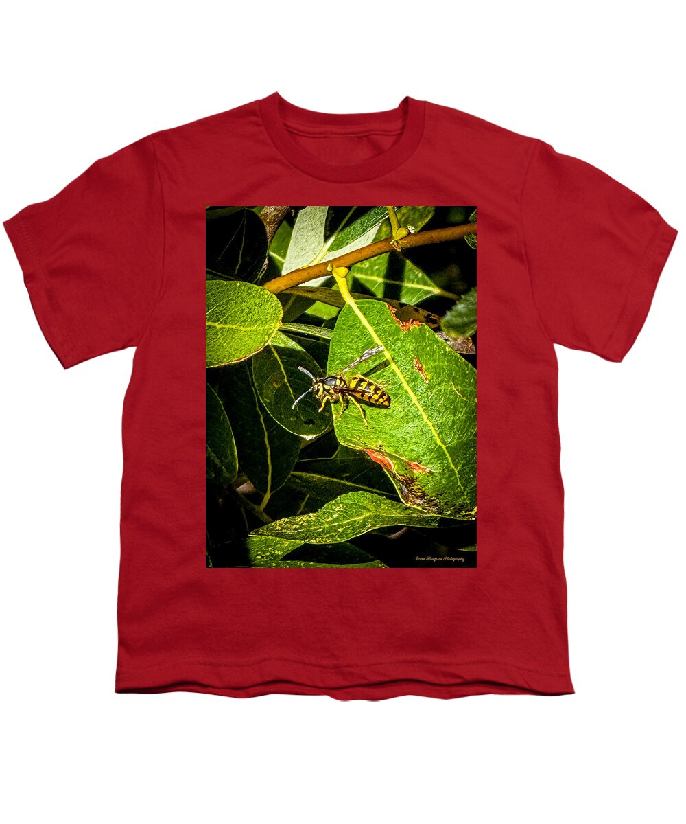 Yellow jacket  - Youth T-Shirt
