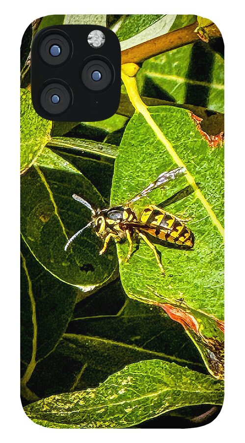 Yellow jacket  - Phone Case