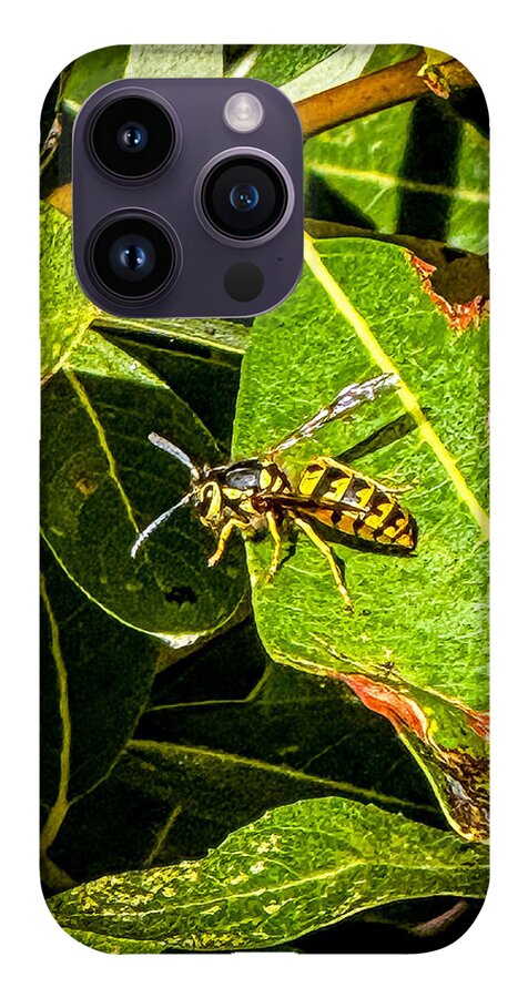 Yellow jacket  - Phone Case