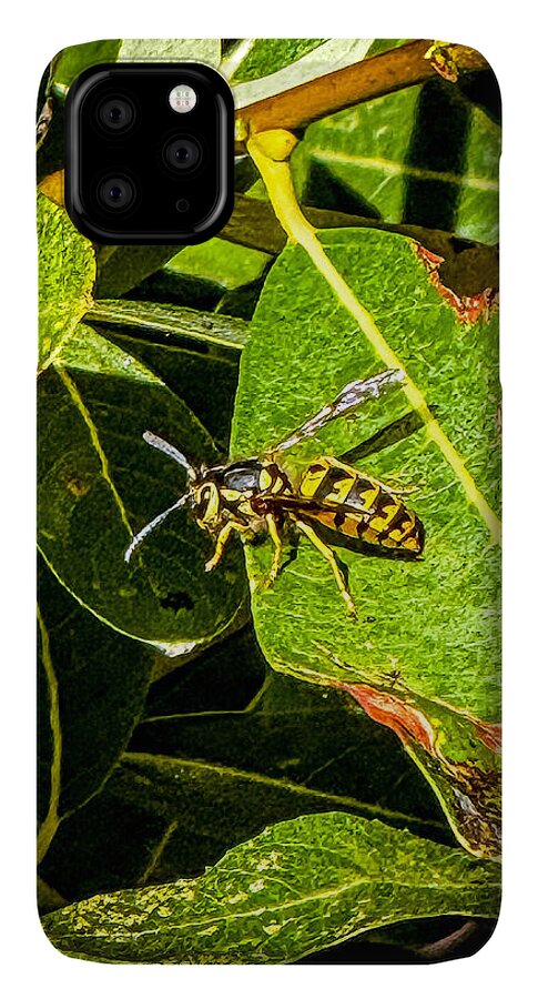 Yellow jacket  - Phone Case