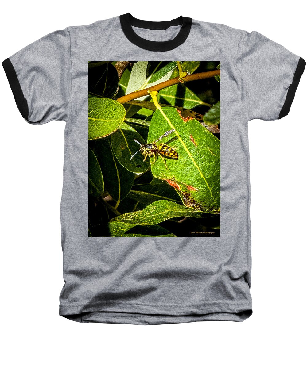 Yellow jacket  - Baseball T-Shirt