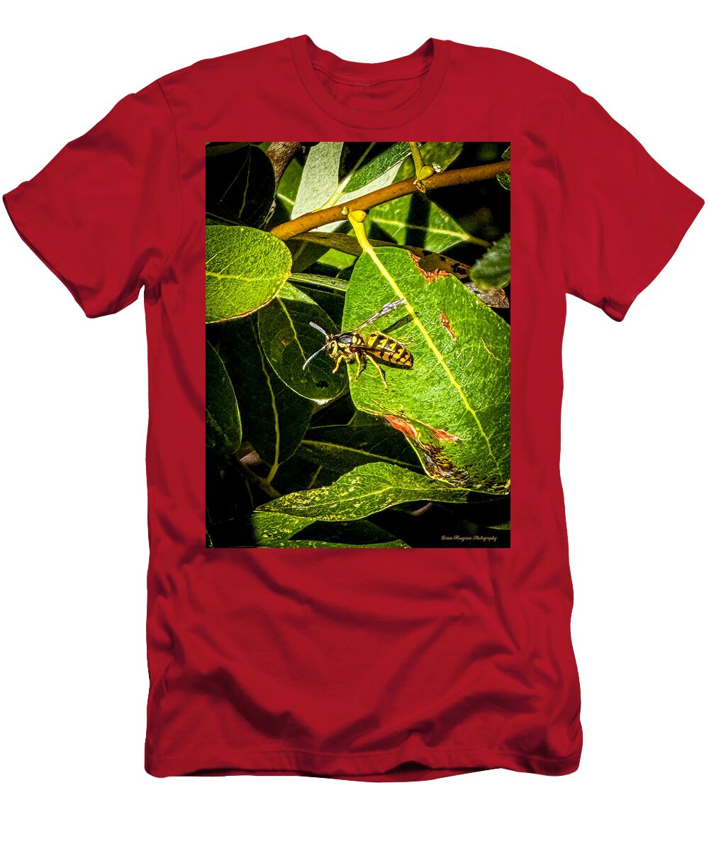 Yellow jacket  - T-Shirt