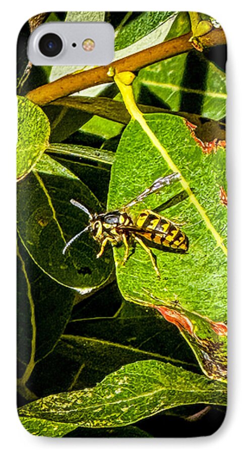 Yellow jacket  - Phone Case