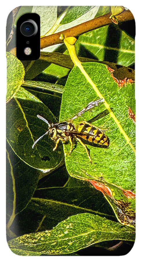 Yellow jacket  - Phone Case