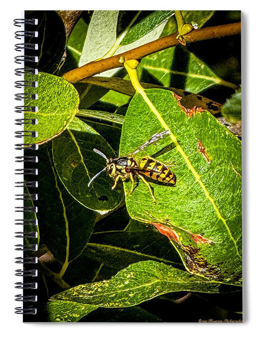 Yellow jacket  - Spiral Notebook