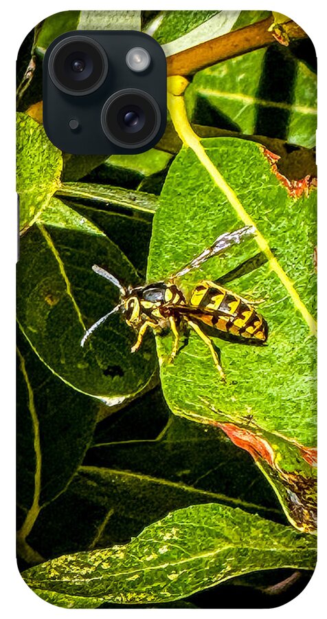 Yellow jacket  - Phone Case