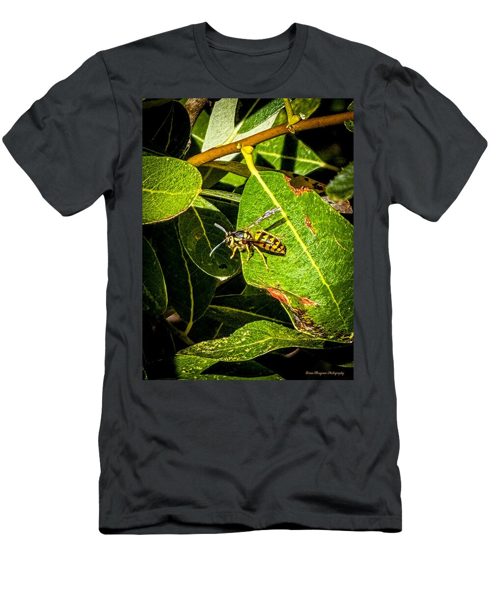 Yellow jacket  - T-Shirt