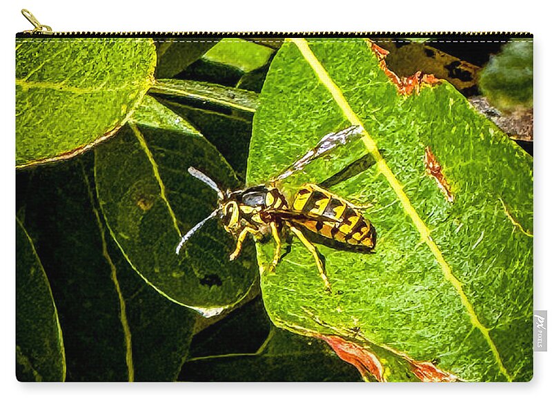 Yellow jacket  - Zip Pouch