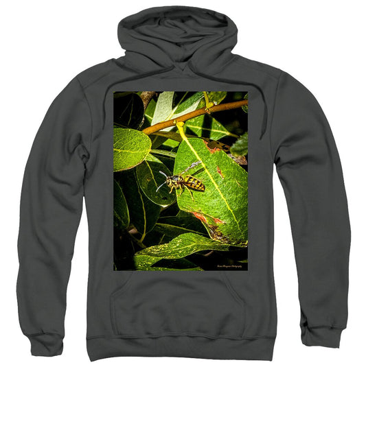 Yellow jacket  - Sweatshirt