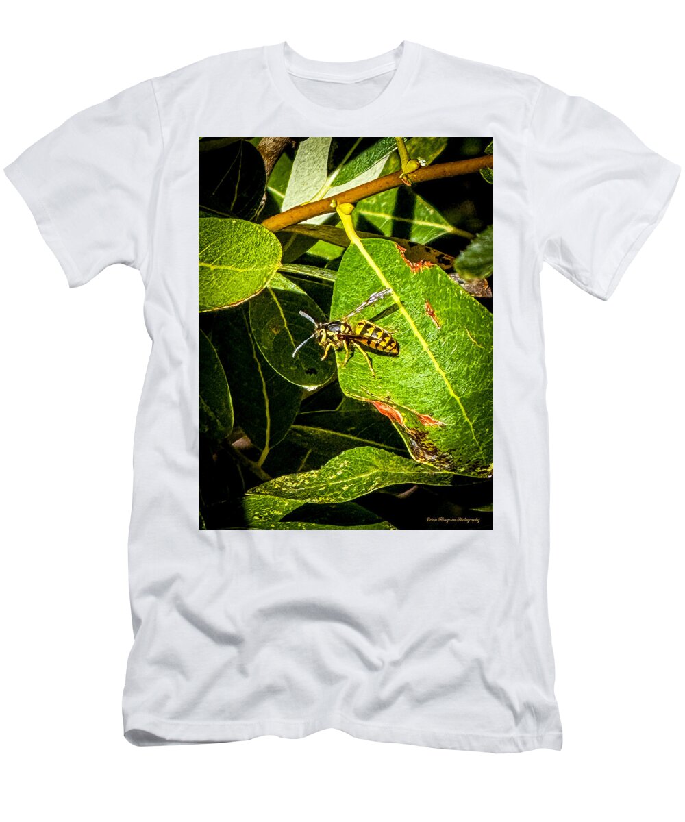 Yellow jacket  - T-Shirt
