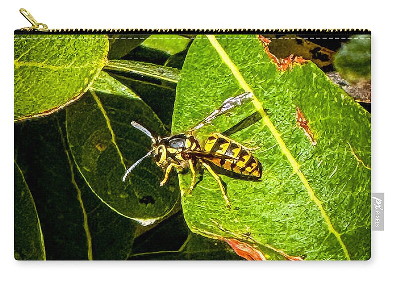 Yellow jacket  - Zip Pouch