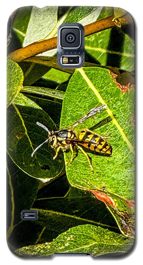 Yellow jacket  - Phone Case