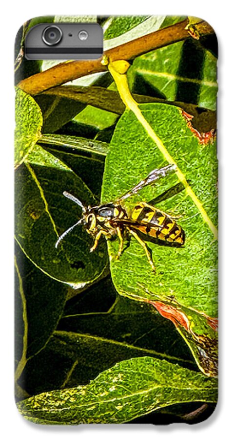 Yellow jacket  - Phone Case