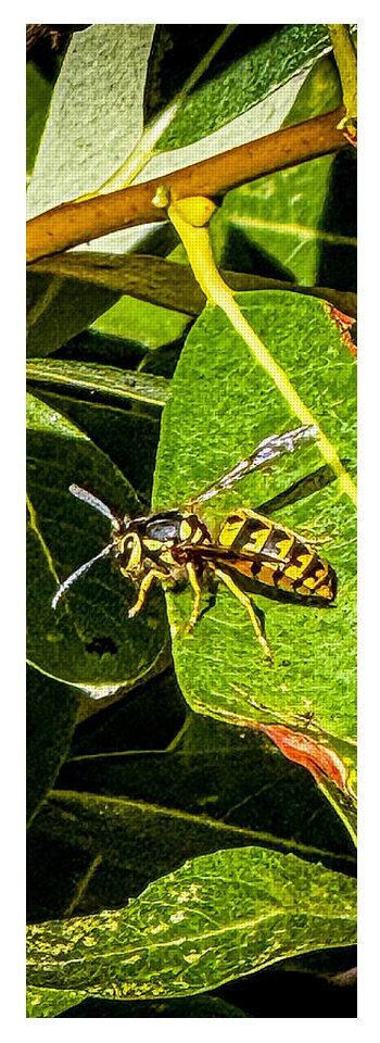 Yellow jacket  - Yoga Mat