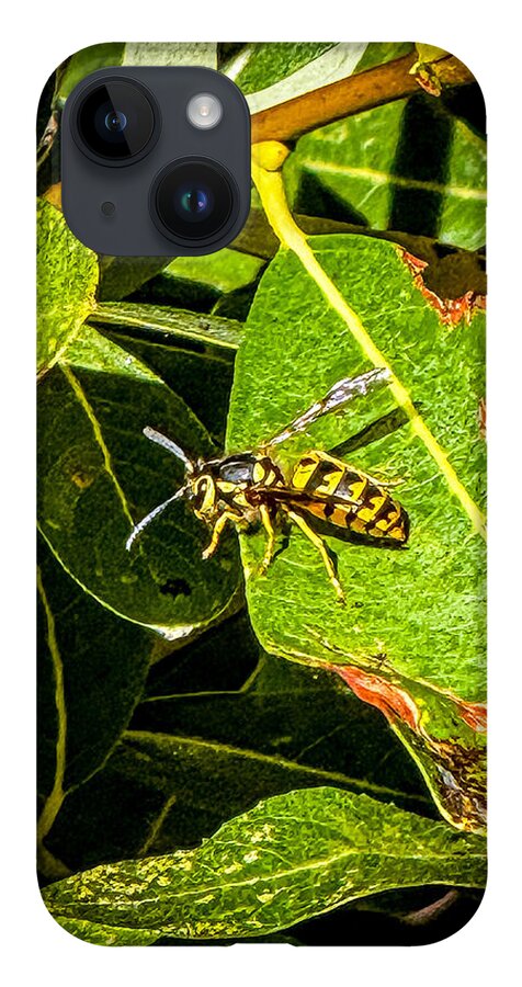 Yellow jacket  - Phone Case