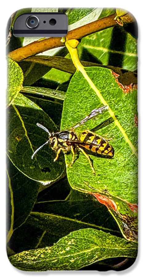 Yellow jacket  - Phone Case