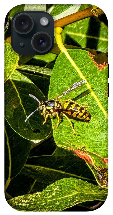 Yellow jacket  - Phone Case