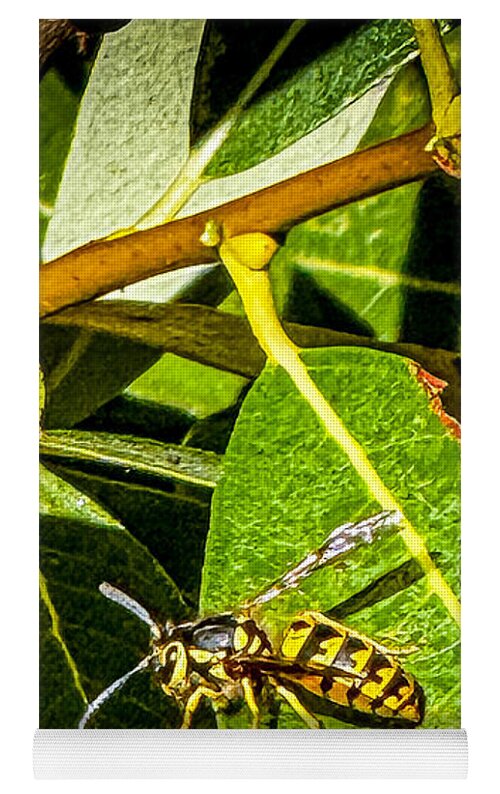 Yellow jacket  - Yoga Mat