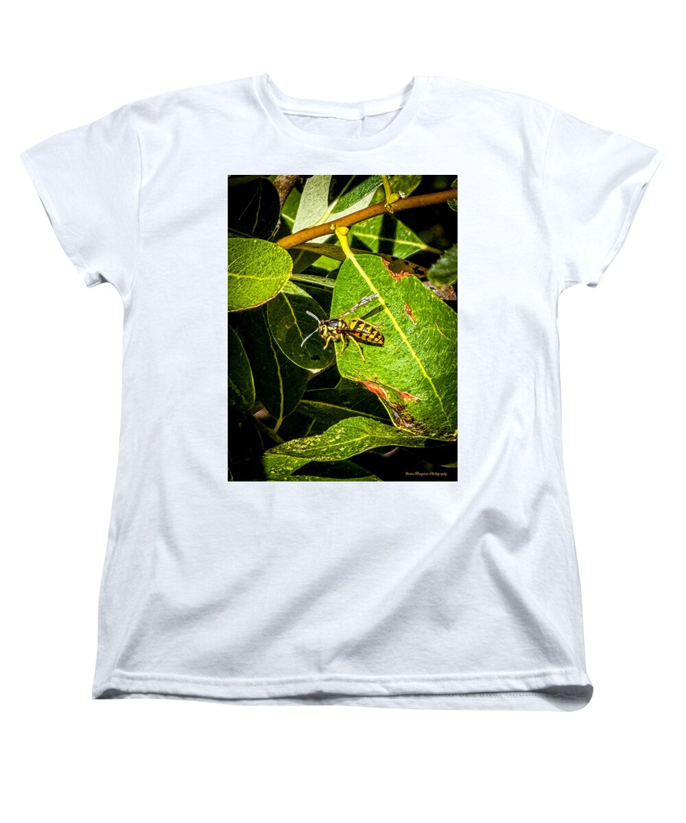 Yellow jacket  - Women's T-Shirt (Standard Fit)