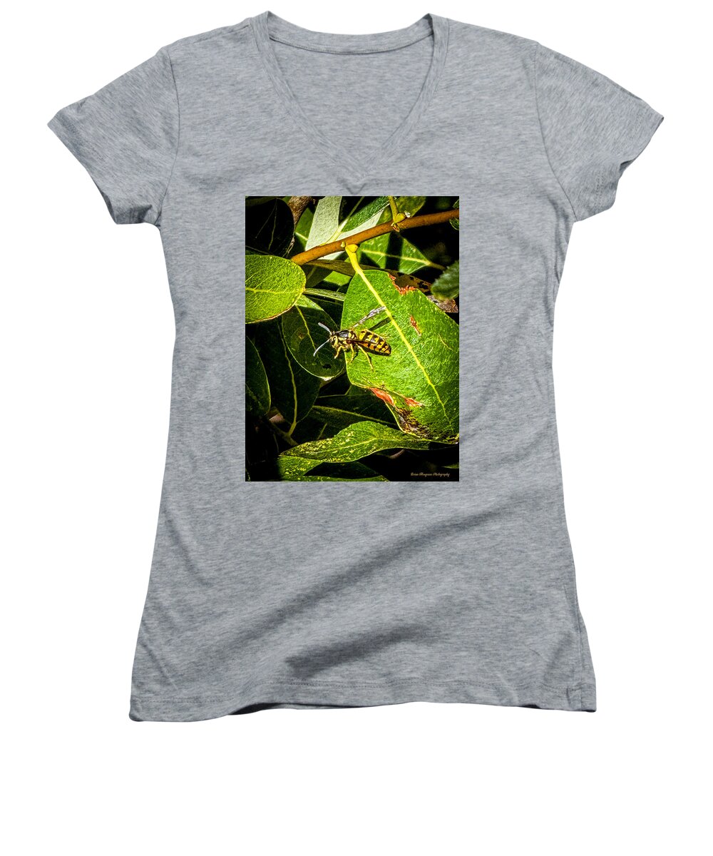 Yellow jacket  - Women's V-Neck