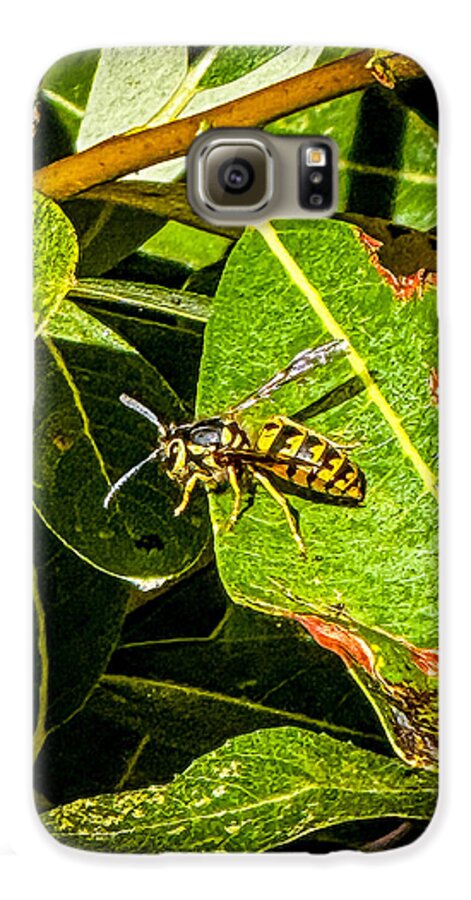 Yellow jacket  - Phone Case