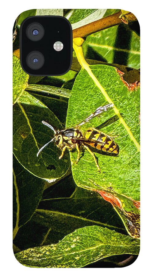 Yellow jacket  - Phone Case