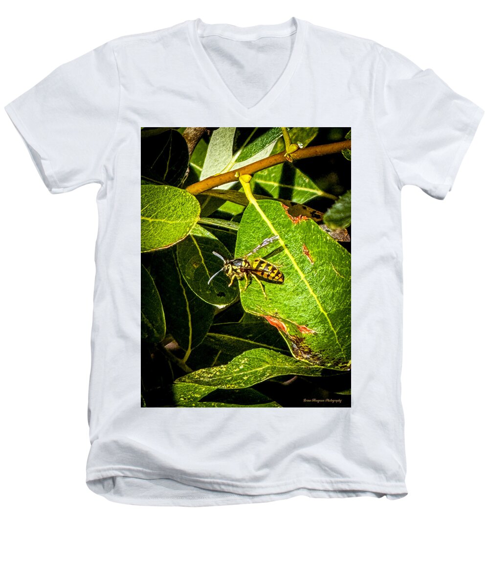 Yellow jacket  - Men's V-Neck T-Shirt