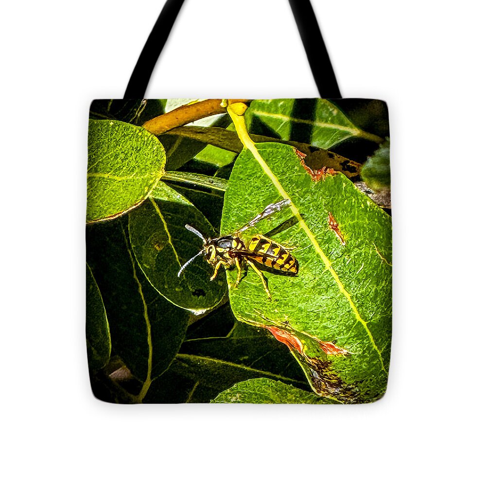 Yellow jacket  - Tote Bag