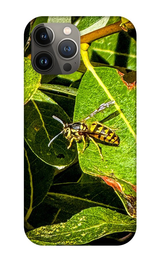 Yellow jacket  - Phone Case