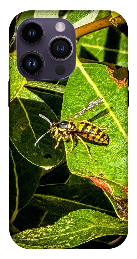 Yellow jacket  - Phone Case