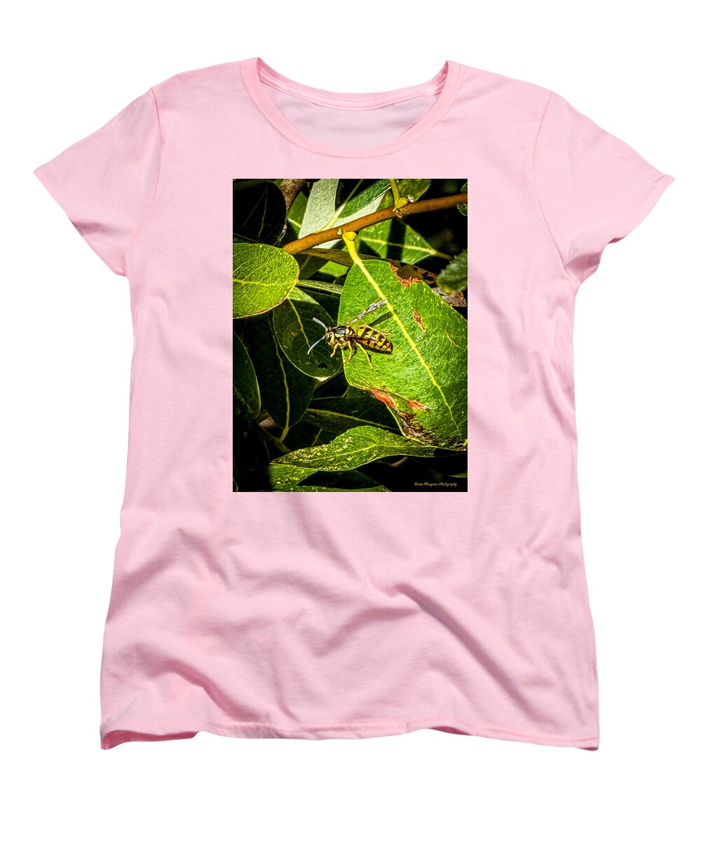 Yellow jacket  - Women's T-Shirt (Standard Fit)