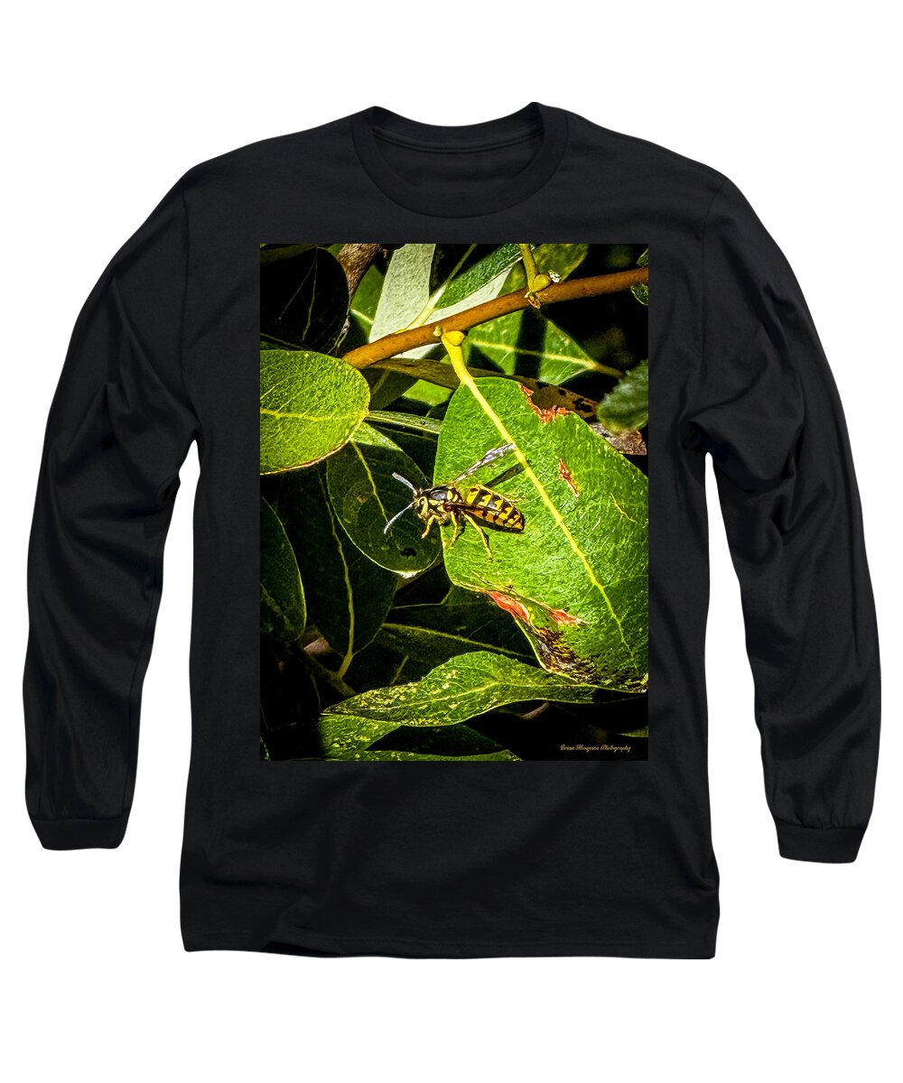 Yellow jacket  - Long Sleeve T-Shirt