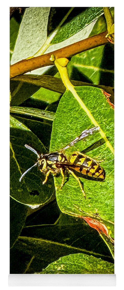 Yellow jacket  - Yoga Mat
