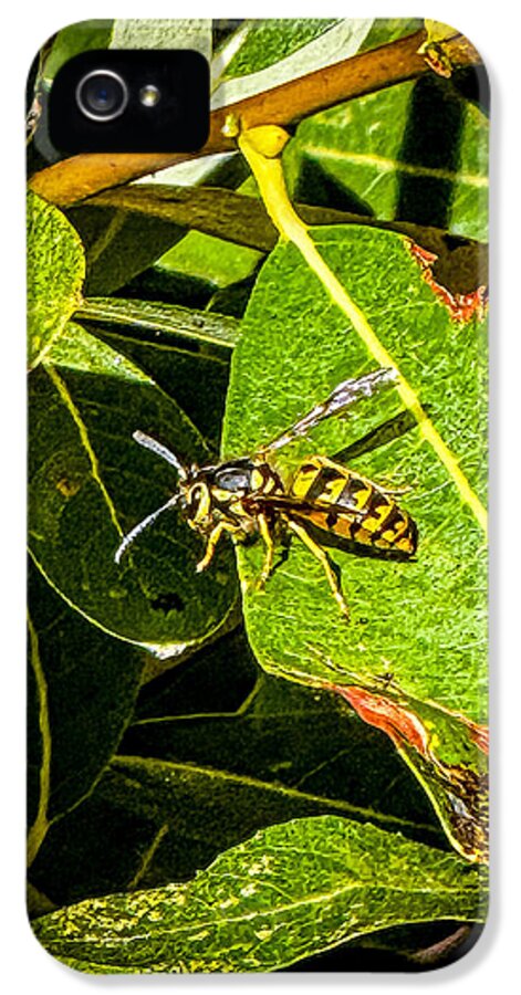 Yellow jacket  - Phone Case