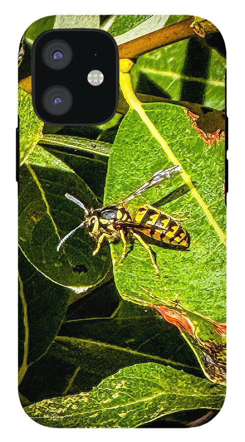 Yellow jacket  - Phone Case